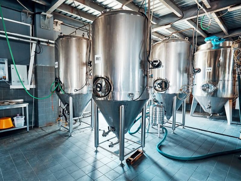 حبوبات تخمیری